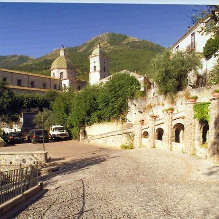 Villa San Domenico 莫拉诺卡拉布罗 外观 照片