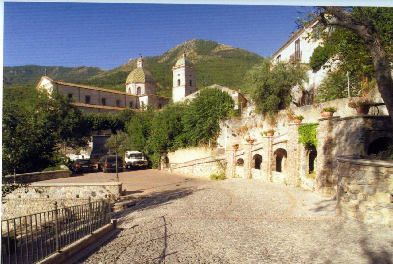 Villa San Domenico 莫拉诺卡拉布罗 外观 照片